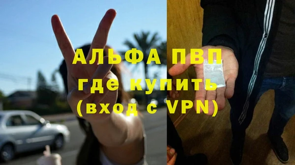 ешки Новозыбков