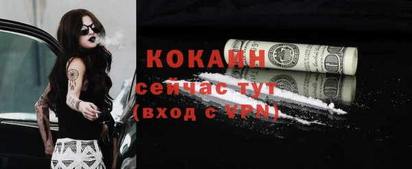 прущие грибы Нефтекумск