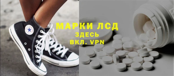 прущие грибы Нефтекумск