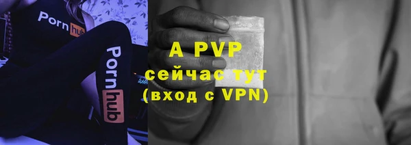 стафф Тихвин