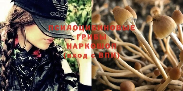 ALPHA PVP Нефтегорск