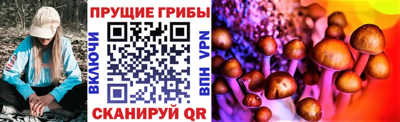 Галлюциногенные грибы прущие грибы Бежецк