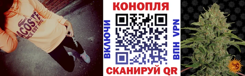 это как зайти  даркнет сайт  Бежецк  Бошки марихуана план 